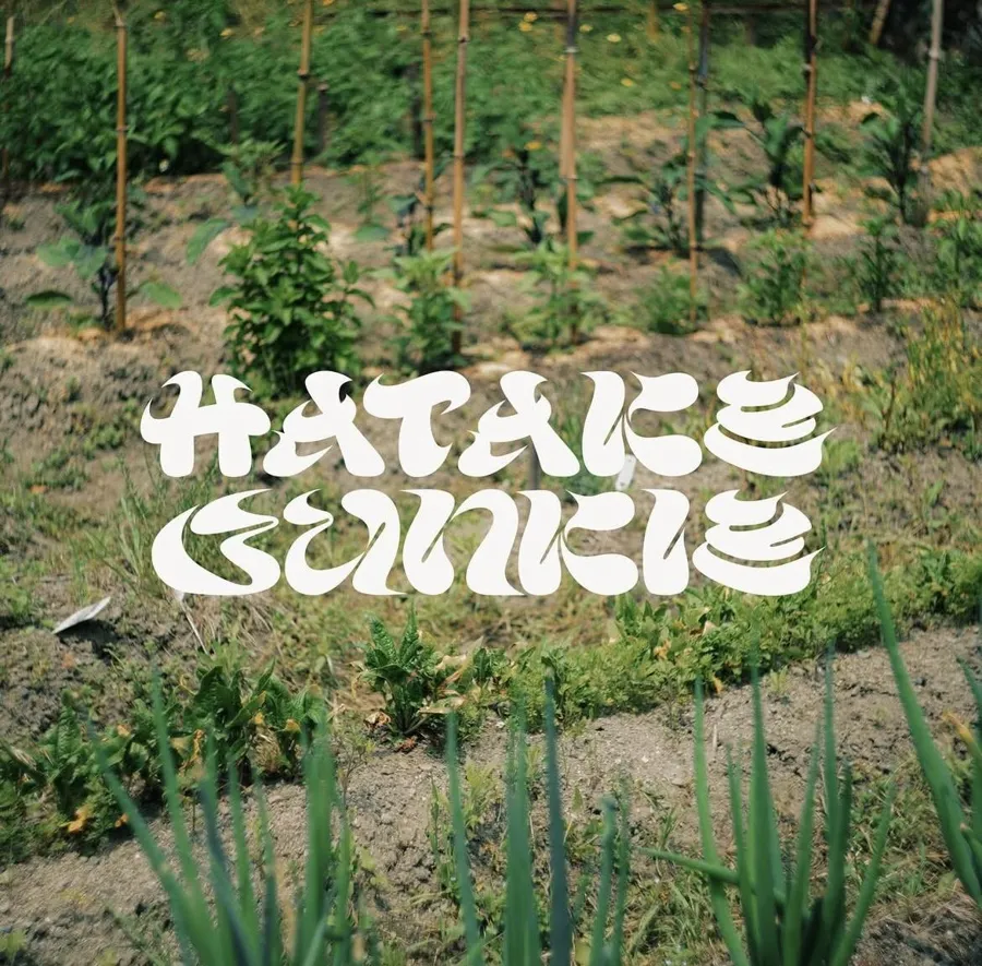 HATAKE JUNKIE
